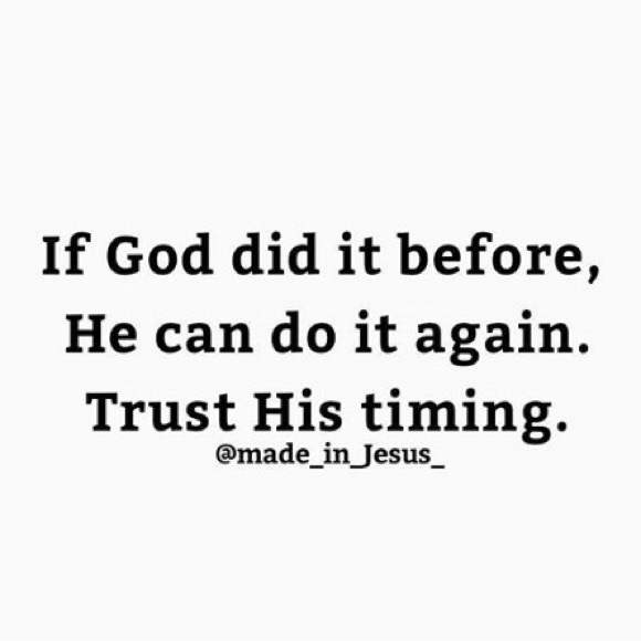 Charlotte Daniel New Black & Rhinestone Necklace - Picture 6 of 6